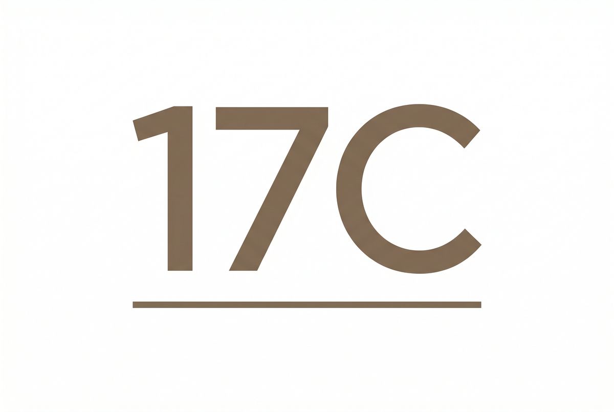 17C品牌Logo - wplevbi.cn